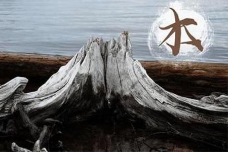 如何根据命里缺木为公司命名