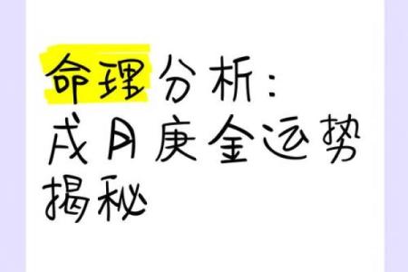 正气无刑：破解命理中的运势玄机