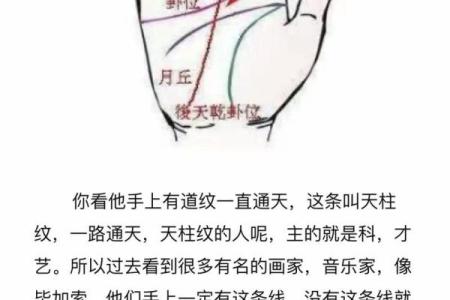 揭秘手相奥秘：手相图解大全，让你一眼看穿感情运势