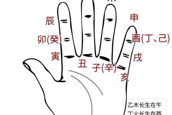 记住天干不再头疼，这个手法让你快速上手！