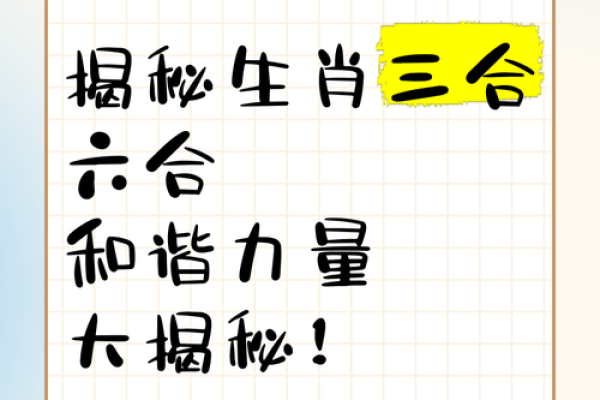 许打一生肖：揭秘生肖背后的神秘力量