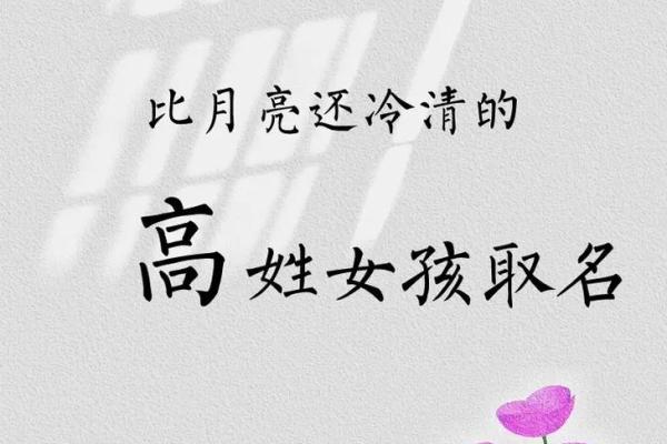 高氏起名秘籍：传承千年的文化与智慧