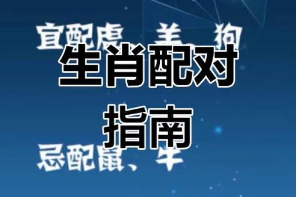 鼠龙相吸：揭秘最甜蜜的生肖配对