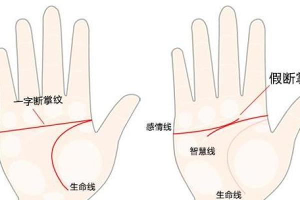 揭秘手相30岁运势：揭秘事业、爱情、财运的神秘密码