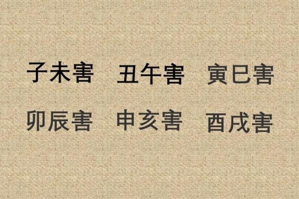 己酉日：揭秘上等命的奥秘