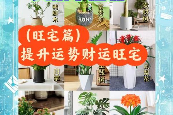 家居风水吉祥之地，助您运势亨通、财运滚滚
