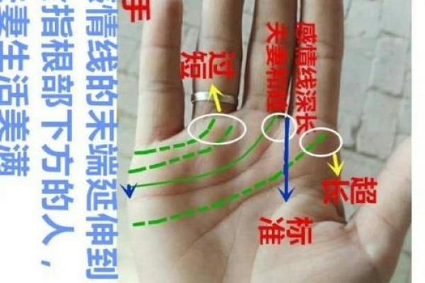 揭秘女性断掌手相：右手写‘1’，运势大揭秘