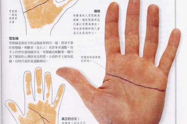 揭秘女性断掌手相：右手写‘1’，运势大揭秘
