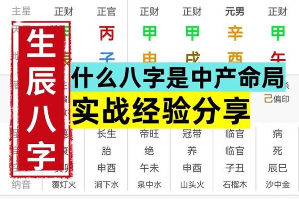 排八字命盘软件助你精准解析人生运势与财富