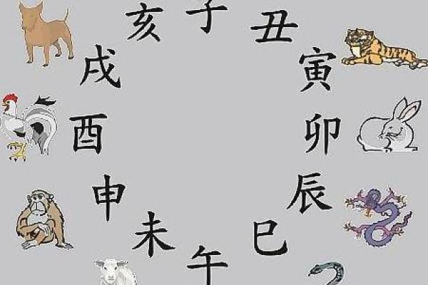 生肖狗的绝配搭档：揭秘最佳运势组合