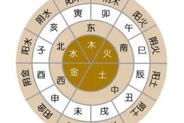 天干与器官的五行密码，掌握它让健康加分