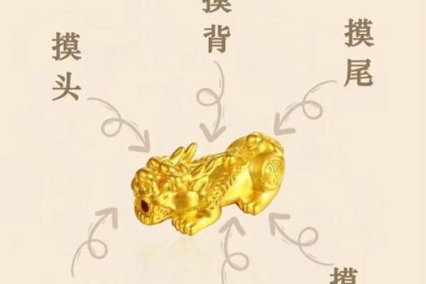 揭秘风水二十四相：布局家居，财运亨通的秘密武器