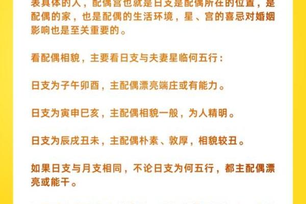 掌握生辰八字，预测未来不再迷茫