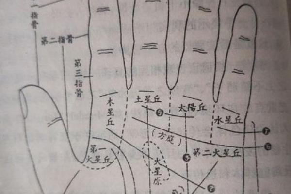 手相揭秘：一秒看透命运，手相大师亲授的神秘秘诀