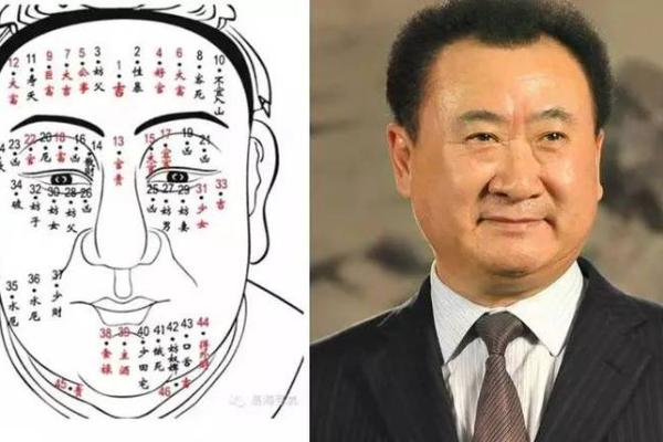 黑眼珠小写：揭秘面相中的神秘魅力