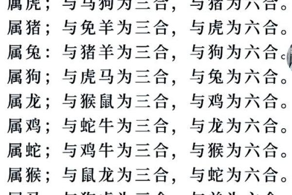 135期生肖大揭秘：财运亨通，谁将独占鳌头？