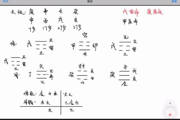 掌中宝！梅花易数手机排盘快速指南，精准分析人生走势