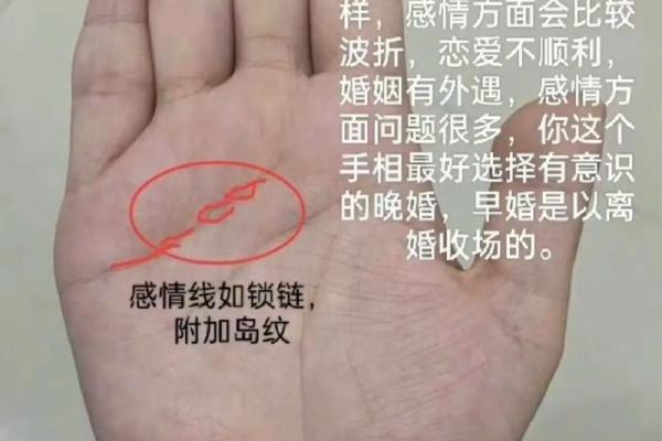 高颜值老公的秘密：揭秘手相中的魅力指数