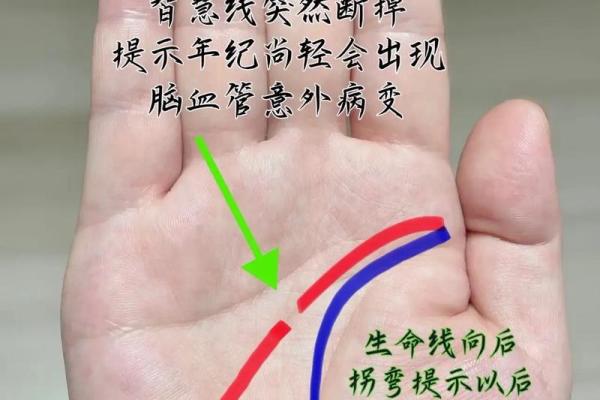 揭秘：看手相究竟该用左手还是右手？必看