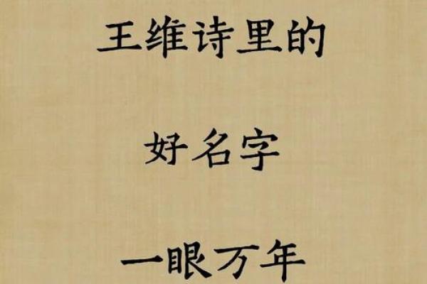 如何为诗取个让人过目不忘的名字