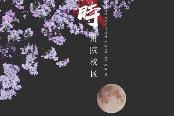 寅时序曲，岁月新篇