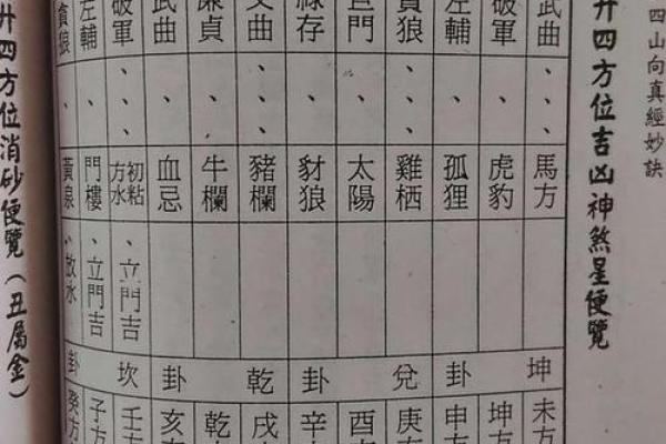 未山丑向，风水布局秘籍，助你家居运势大旺