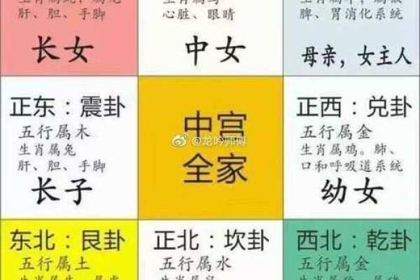 五行命理揭秘：你的家是哪种命？揭秘家居风水与运势