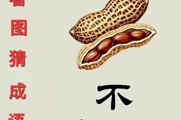 老鼠配蛇？揭秘这种独特搭配的奥秘
