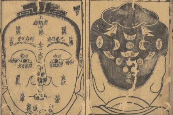 面相双生：揭秘五官间的神秘联系，掌握命运密码