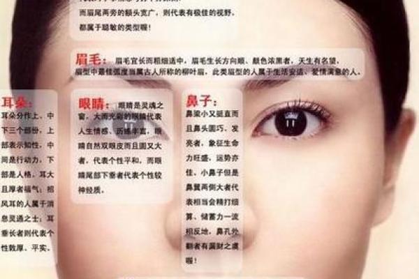 面相双生：揭秘五官间的神秘联系，掌握命运密码