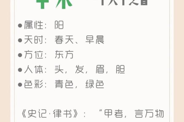 甲木天干背后的故事，为什么它与众不同？
