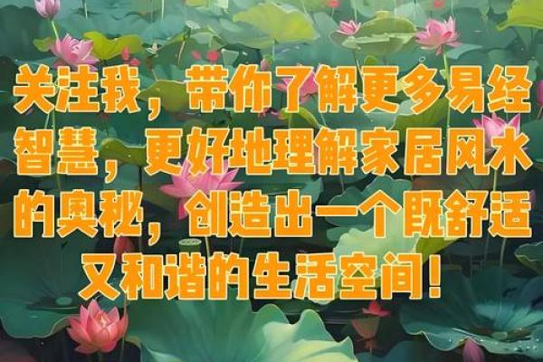神秘风水大师突发疾病，揭秘风水养生背后的惊人秘密