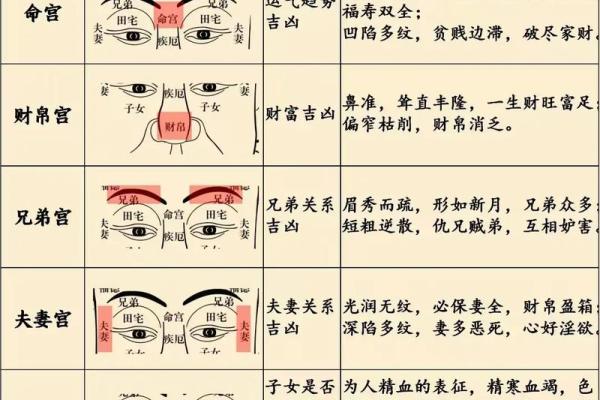识人如神：揭秘面相秘密，一眼看透人心