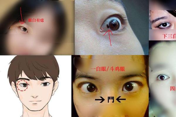 揭秘眼白多男人：面相中的独特魅力与运势