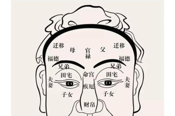 识人秘术：从面相看透人心，揭秘性格命运