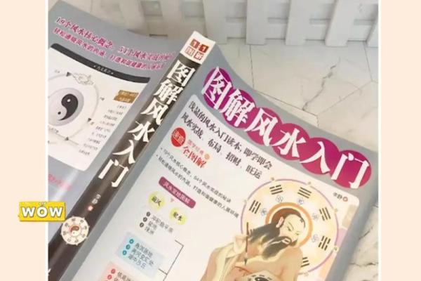 揭秘风水大师的独家秘籍：家居布局的神奇力量