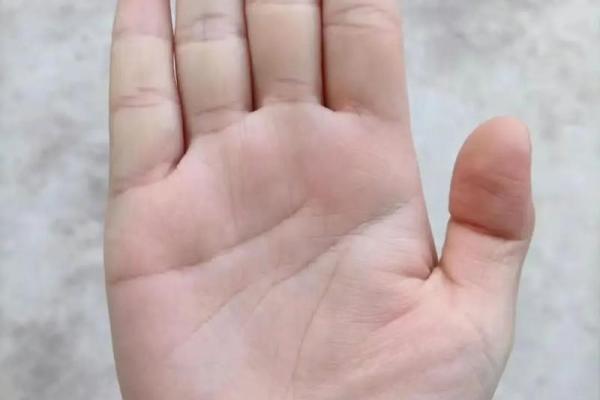 手相揭秘：这几种手相的女人，运势非凡，事业家庭双丰收