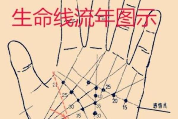 手相密码：揭秘生命线多线预示的神秘命运轨迹