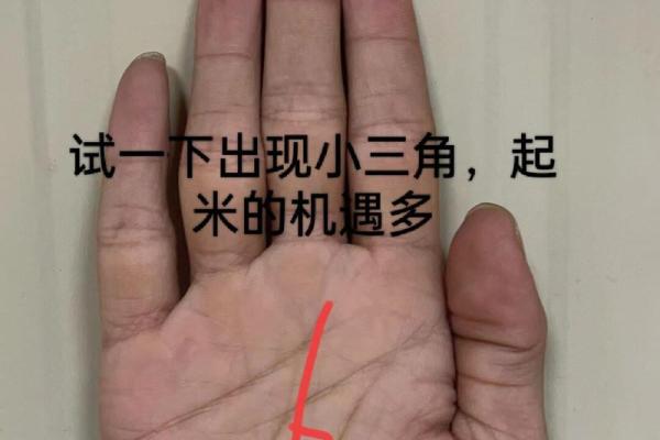 手相揭秘：明堂女字纹预示着什么？财运、婚姻、事业大揭秘