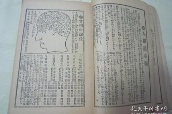 左小青命理实战技巧：如何运用命理学调整人生轨迹