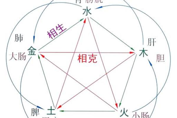 一文带你了解惠五行：生活中的五行平衡法则