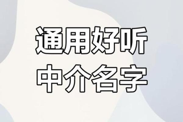 空壳公司命名技巧揭秘