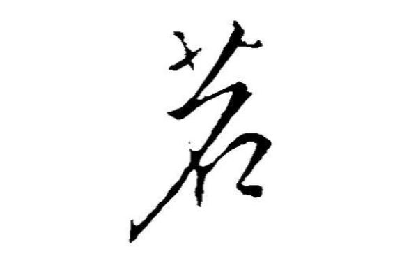 探究栗字五行属什么