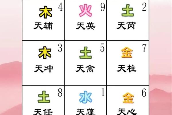 九星风水秘籍：揭秘家居布局的旺运之道