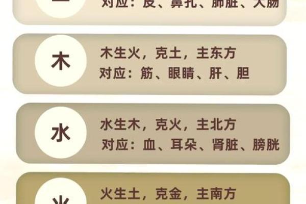 光字五行属性深度解析，带你了解其奥秘
