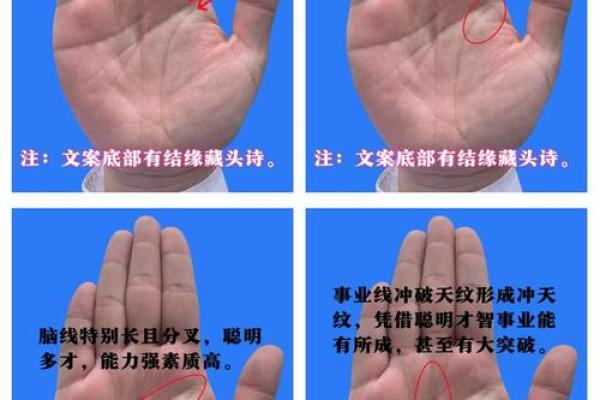 手相揭秘：一招看穿父母命运，揭秘家族传承的秘密