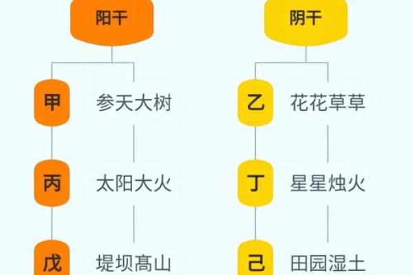 深入解读十二天干五行，了解它们背后的神秘力量