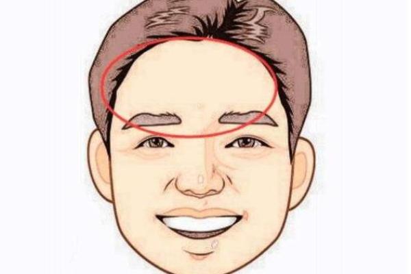 额头白毛预示大富大贵？揭秘面相学中的神秘符号