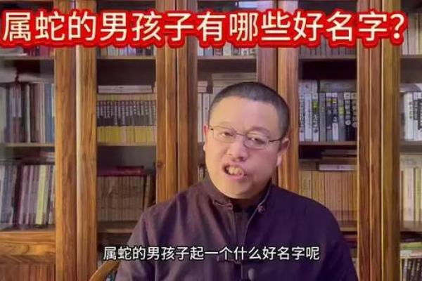 属蛇公司起名宝典，助你打造独特品牌