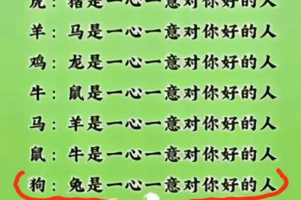 兔蛇相配，揭秘命中注定的缘分